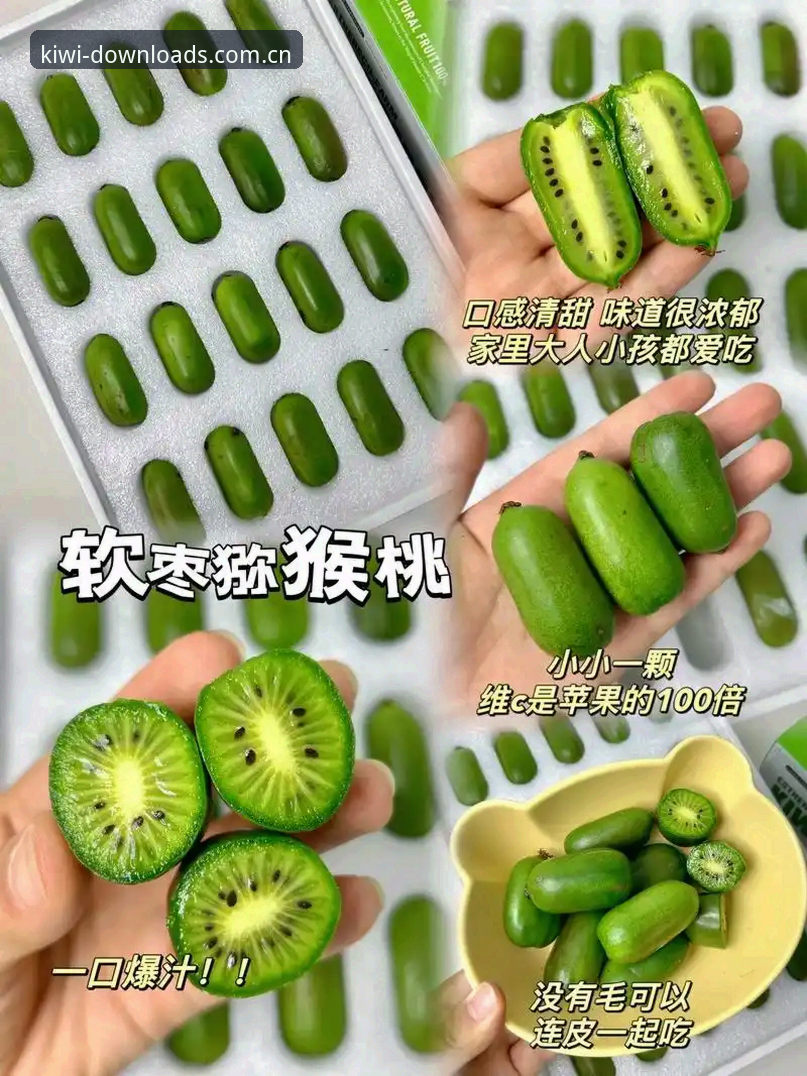 奇异果体育体育直播 奇异果体育官网实用指南:从下载安装到互动观赛的全流程必备知识