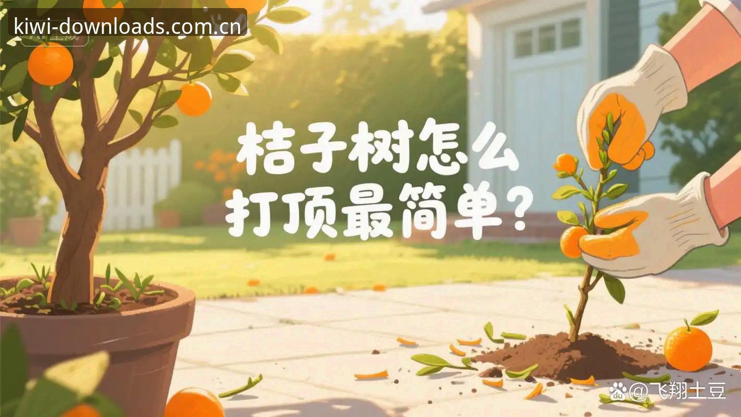 奇异果体育安装方法 资深用户分享:奇异果体育安装方法实战经验,三步搞定官方正版下载