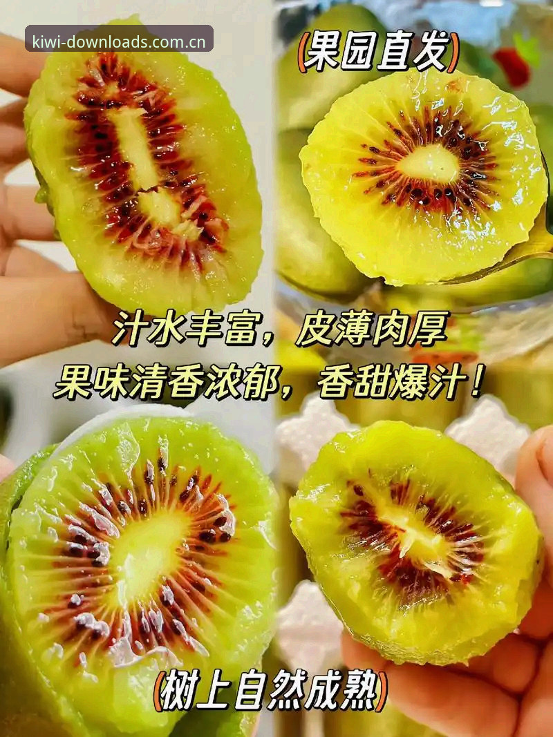 奇异果体育官网实用指南：从下载安装到互动观赛的全流程必备知识