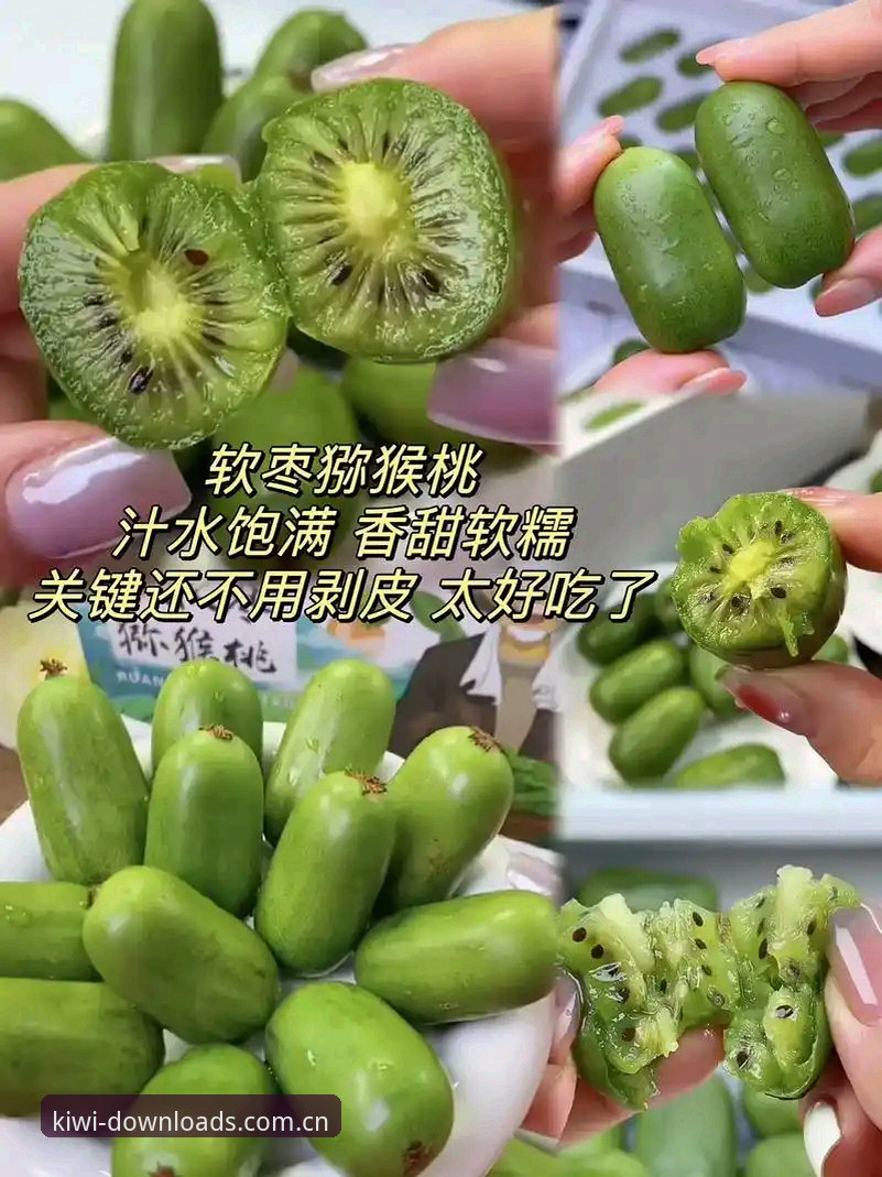 奇异果体育直播App怎么样 深度揭秘:奇异果体育直播App到底怎么样?一个技术评测员的真实体验报告